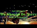 Download Lagu We Should Be Sorry - Axel Johansson (Lirik \u0026 Terjemahan)