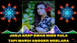 Download Sulaya Janji (Lirik) - Mimi Nunung Zaimedia (Tarling Tengdung) MP3
