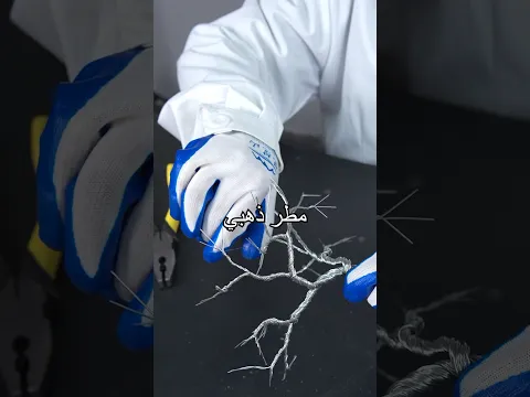 شجرة صغيرة تتحول إلى مطر ذهبي من الشرر؟ هل هذه كيمياء حقاً؟#shorts #experiment #miwuscience