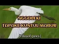 Download Lagu ARTI MENCARI \