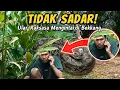 ISTRI JAHIL! Mang Porkas KAGET Dikira Ular Beneran, Eh Istri Malah Apes Kena Balasan! (NGAKAK PARAH)