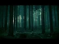 Caleb Arredondo - Echo Sax End (First Half) / (Slowed n Reverb)