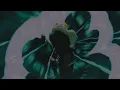 kodak black “skrilla” •slowed~reverb•