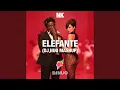 Elefante