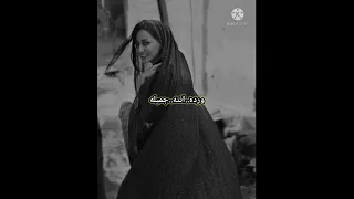 سعدي الحلي موال بستان 