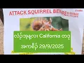 Download Lagu လံၣ်အ့န့လၢ California တဒုအကစီၣ် 29/9/2025