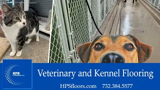 Veterinary and Kennel Flooring