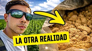 Lo que NADIE cuenta del Hachís en Marruecos