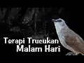 Download Lagu TERAPI TRUCUKAN STRES / TERAPI TRUCUKAN MALAM HARI dengan SUARA AIR