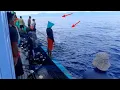 Proses lingkar jaring pukat cincin penangkapan ikan cakalang terbanyak awal hingga pulang dari Laut 