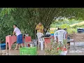 Download Lagu day at a friend's farm, a hearty lunch + Mom preparing pulba dough and the famous peanut brittle