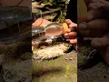 Download Lagu Start a fire with a plastic bottle #firemaking #creativesurvival #bushcraft