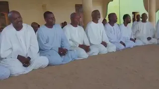 أولاد الشيخ الجميعابي   سيد حبنا دندنها