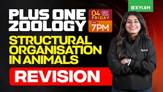 Plus One Zoology | Structural Organisation In Animals - Revision | Xylem Plus One