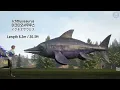 Ark All Monsters & Dinosaur Size Comparison