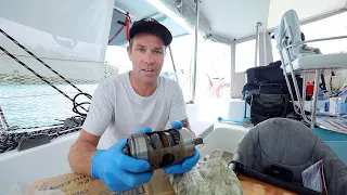 Systems & Components that We LOVE