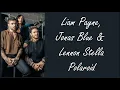 Liam Payne & Jonas Blue, Lennon Stella - Polaroid (Lyrics)