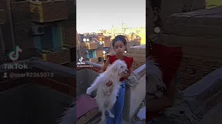 عندي كلب رايحه منه روكي   دندنها