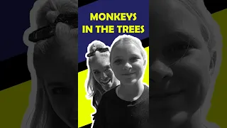 Out of the water and into the trees #shorts