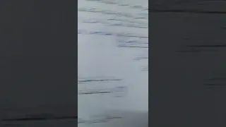 حل اسئله كتاب التربية الإسلامية للصف الثامن صفحة 82 