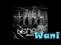 Lagu 2NE1 Lonely WaniCovers