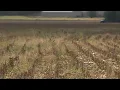 Download Lagu More than 100 acres of Seguin cornfield will be site of new Texas State Technical College