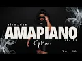 BEST Amapiano Mix Vol 10 | Ngwanyana wa Pitori