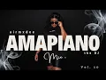 Download Lagu BEST Amapiano Mix Vol 10 | Ngwanyana wa Pitori