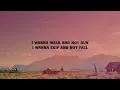 Cowboy Take Me Away - The Chicks (Lyrics)
