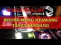 Jandut Bisone mung nyawang tanpa kendang