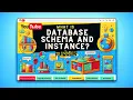 4 What is Database Schema and Database Instance DBMS