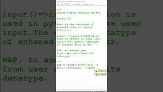 python input function