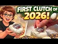 CUTTING Our FIRST Clutch of 2026 First EVER Double Recessive Hatch