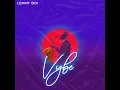 Vybe - Lemmy Boi
