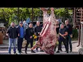 Download Lagu BUFFALO MEAT on CHARCOAL GRILL. COOKING 500 kilo BUFFALO. ENG SUB