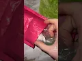 LPS Great Dane Unboxing
