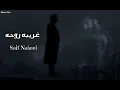 سيف نبيل - غريبه روحه || [Officil Music] Saif Nabeel