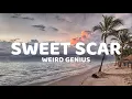 Download Lagu Weird Genius - Sweet Scar ( Lyrics )