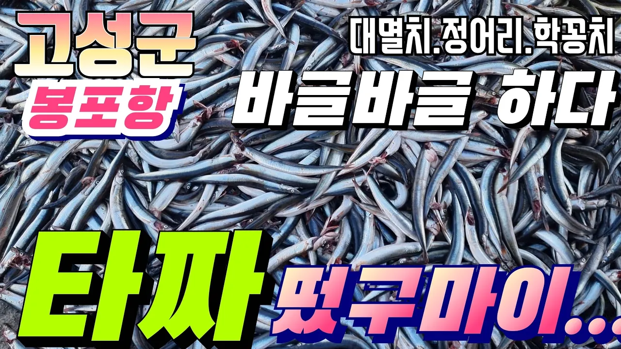 관련 영상 썸네일
