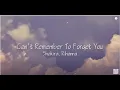 Download Lagu [1 HOUR] Can't Remember to Forget You - Shakira, Rihanna (Lyrics)