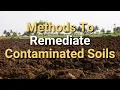 Restoring Polluted Soils Effective Remediation Methods