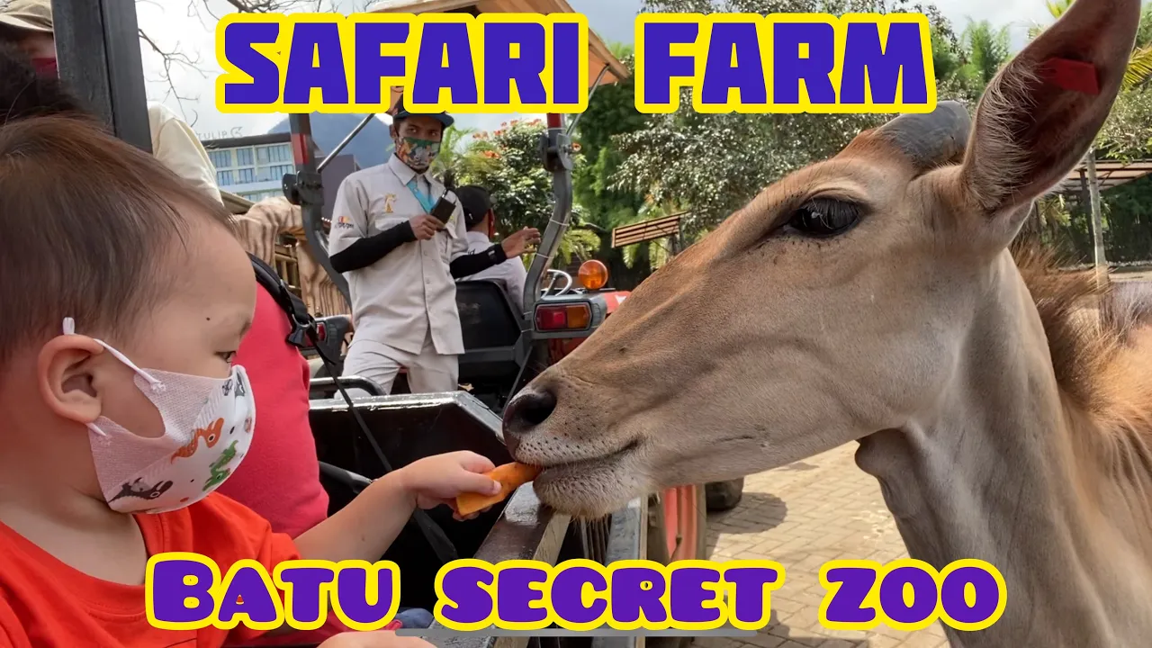 JATIM PARK 2 | BATU SECRET ZOO | HEWAN NYA IMPORT DARI LUAR NEGRI GUYS | MUSEUM SATWA | BATU MALANG