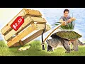 Cheap Vs Expensive SNAPPING TURTLE Trapping