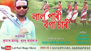 Lal Pari boga sharee