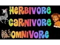Herbivore Carnivore Omnivore Song