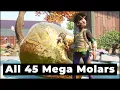 Grounded Find All 45 Mega Milk Molars of the Game Map Locations and Complete Guides