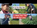 Download Lagu 1162# Suddenly Husband Said To Cut Off All The Sweet Potatoes, While The Sweet Potatoes Are Not R...