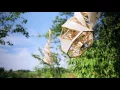 Three White Horses - Andrew Bird
