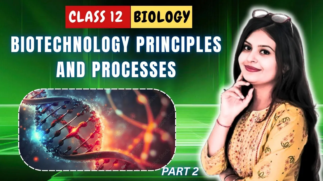 Biotechnology : principles and processes 🧬l class 12 l biology l ncert l quick revision l part 2