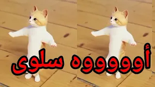 اغنية سلوى الحلوة عيد ميلاد سلوى اول تعليق السعودية الكويت ابوظبي تركيا العراق الجزائر الرياض دبي  اغنية سلوى الحلوة عيد ميلاد سلوى اول تعليق السعودية الكويت ابوظبي تركيا العراق الجزائر الرياض دبي